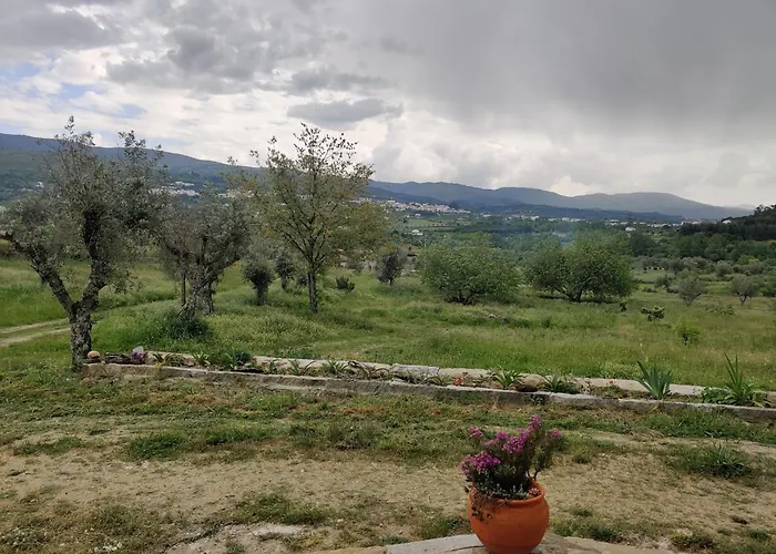 Arpuro