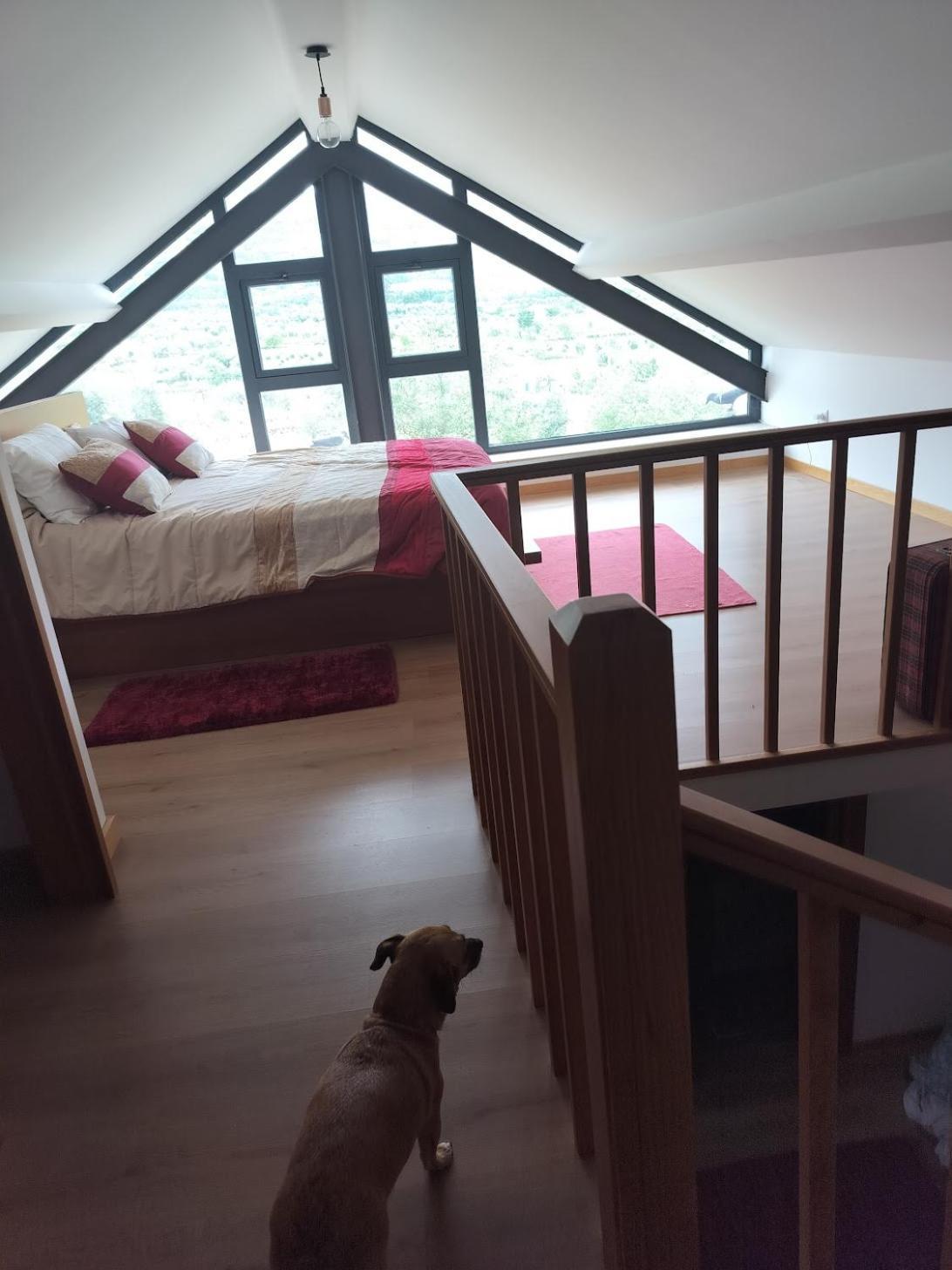 Arpuro Holiday home Gouveia (Guarda)